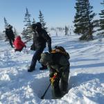 climate change at the arctic's edge - digging in the snow